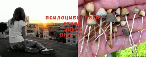 марки nbome Верхний Тагил