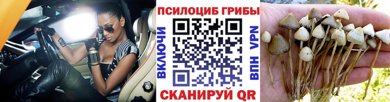 Псилоцибиновые грибы ЛСД  продажа наркотиков  Комсомольск-на-Амуре 